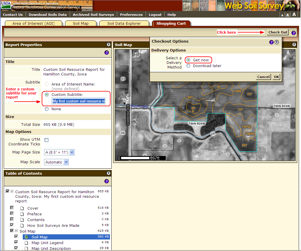 Delivery Options Click the Check Out button. Delivery Options are Get Now and Download Later.