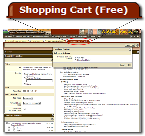 This is the Shopping Cart tab.  Click or press the Escape key to close.